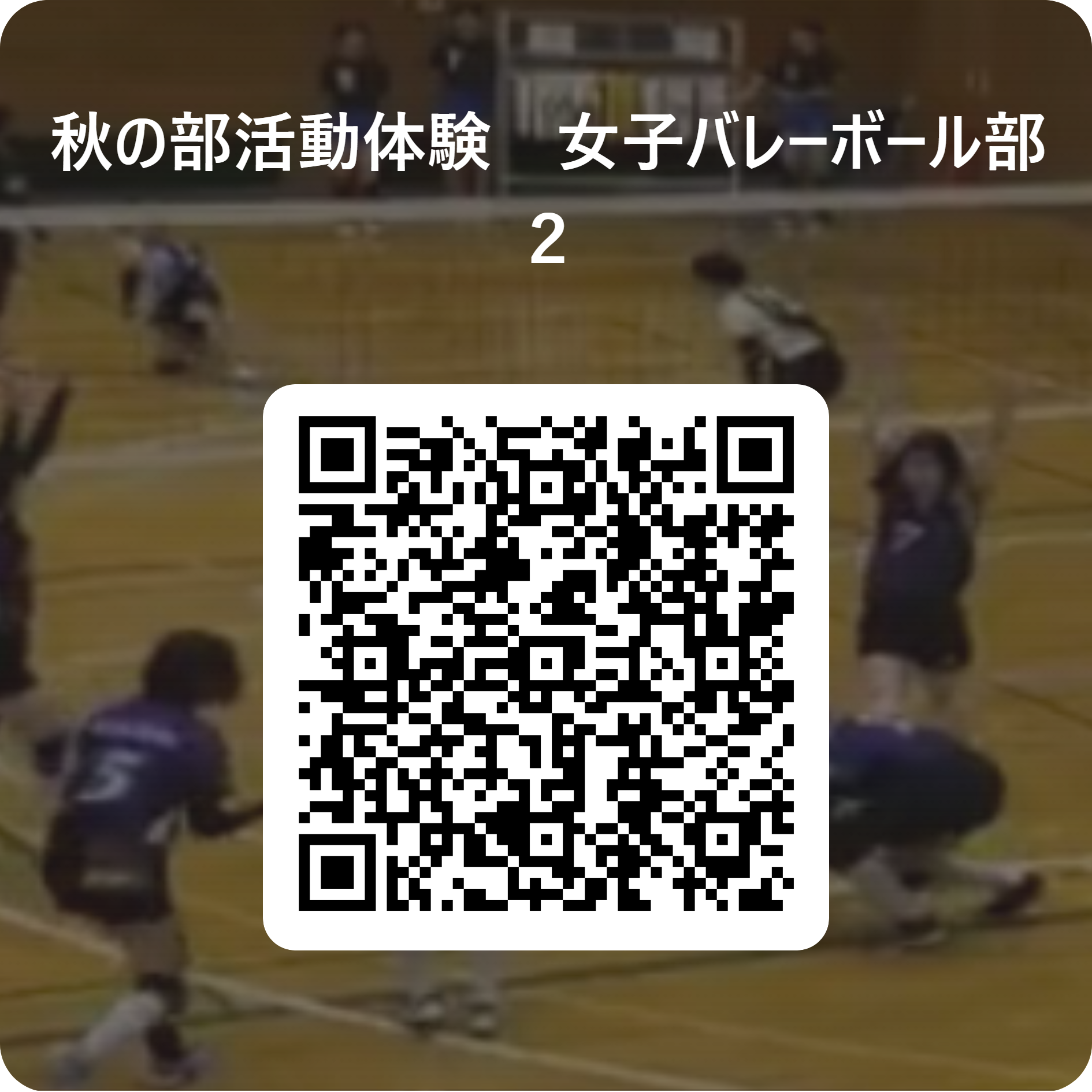 秋の部活動体験　女子バレーボール部　２ 用 QR コード